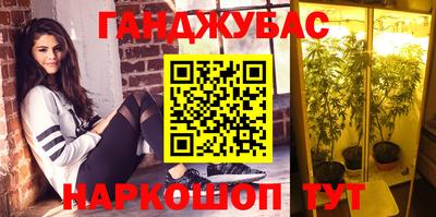 эйфоретик Камень-на-Оби